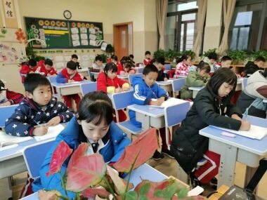 学校优势