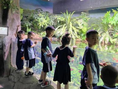 学校优势