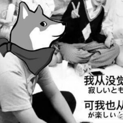 用户头像