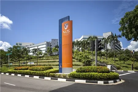 新加坡国立大学专业设置情况_有哪些专业