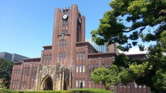 东京大学仍是采取学院制的大学,各校区实际可以称为驹场学院,本乡学院