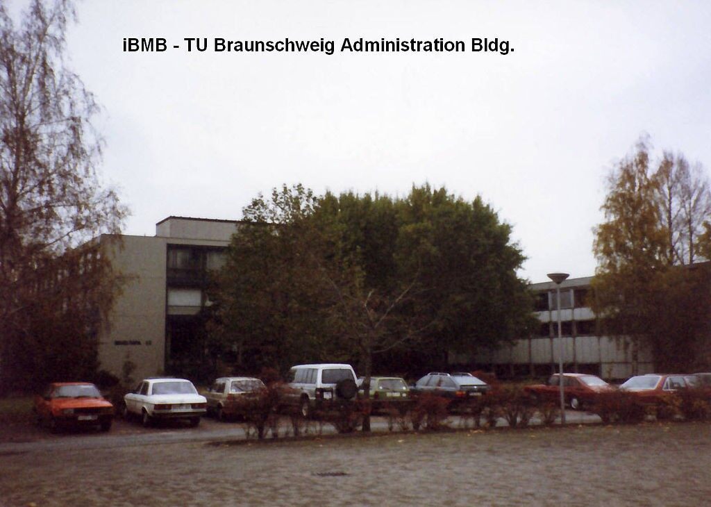 学校图片
