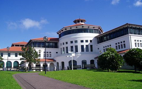 梅西大学研究生申请条件