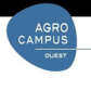 学校logo