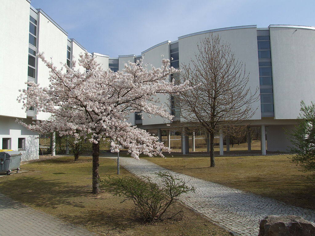 学校图片