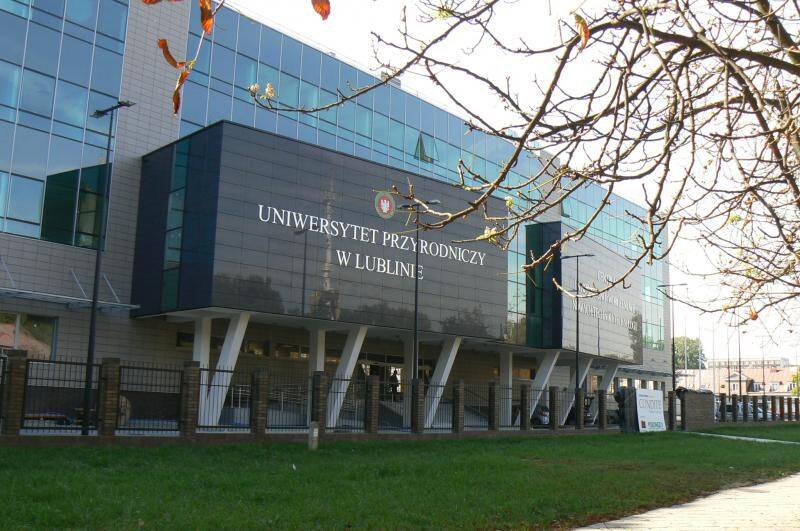 学校图片