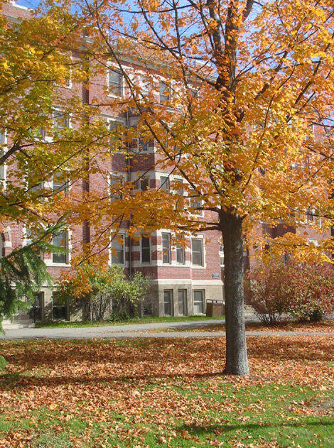 学校图片