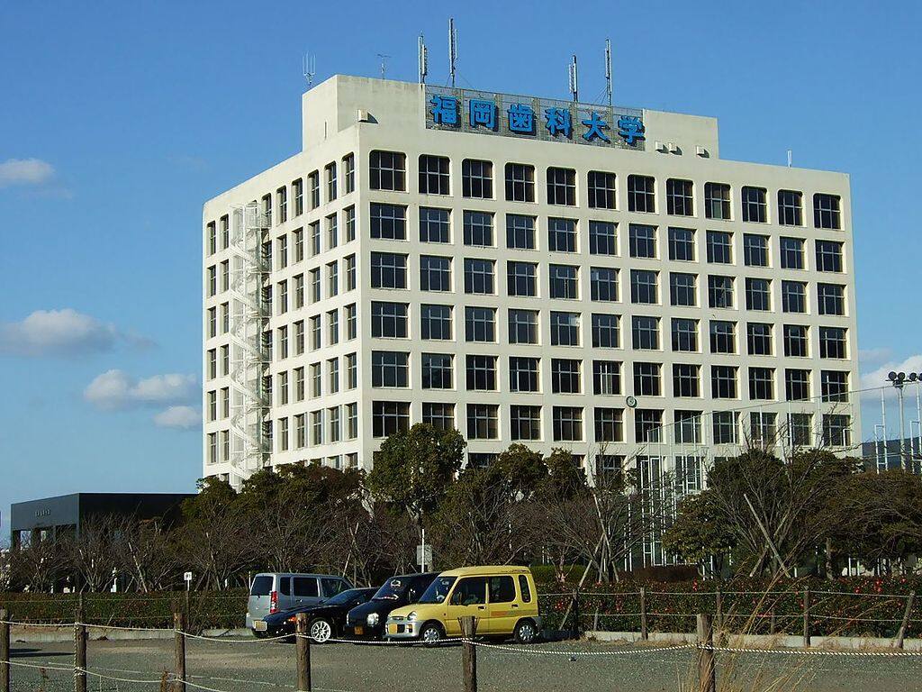 学校图片