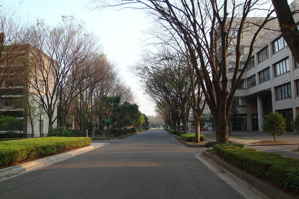 学校图片