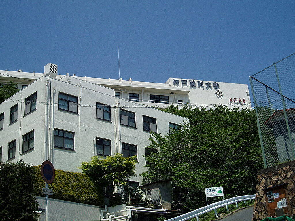学校图片