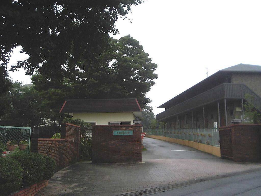 学校图片
