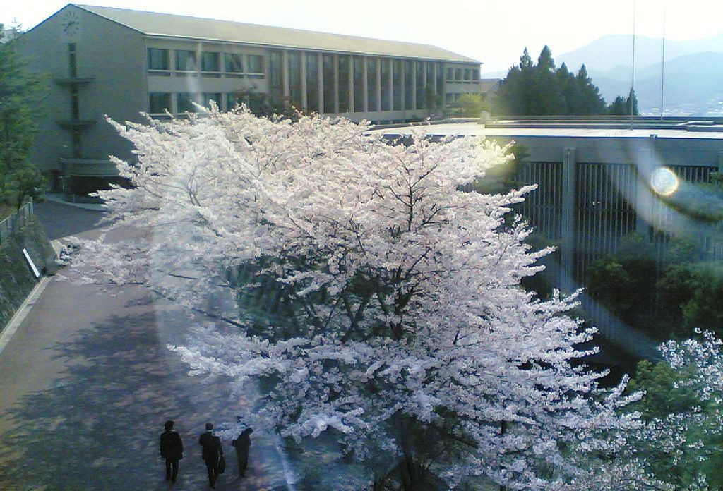 学校图片