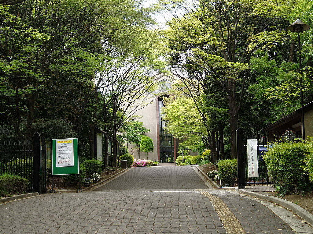 学校图片