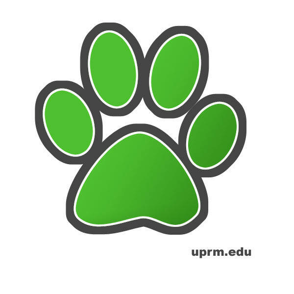 学校图片