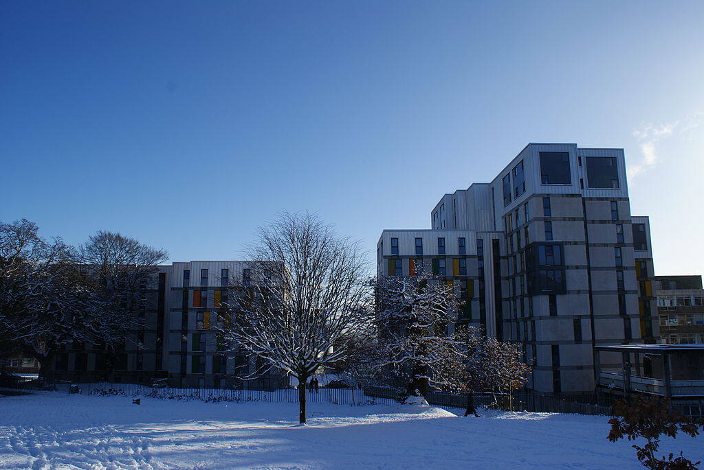 斯旺西大学