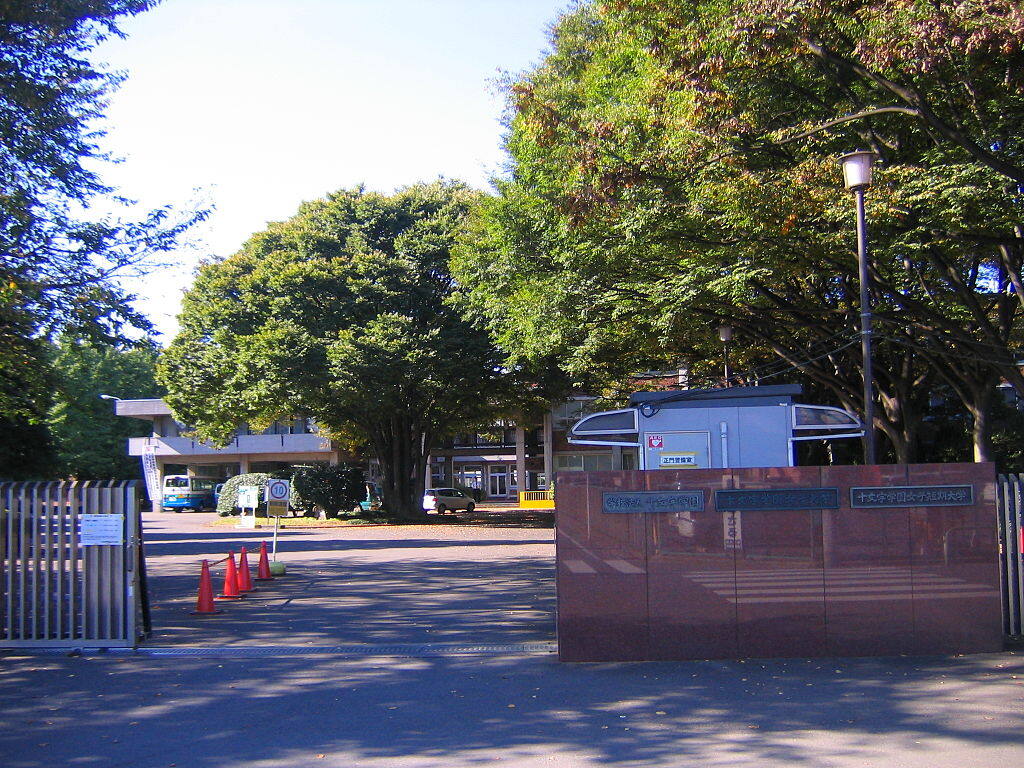 学校图片